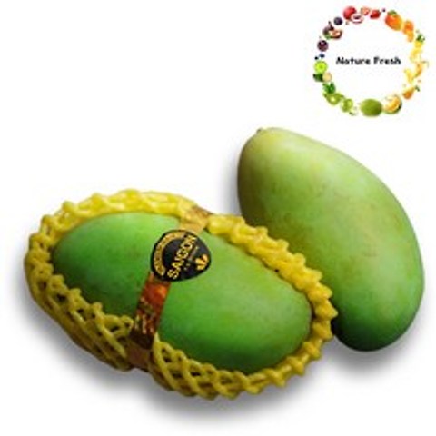 베트남 께오 그린 망고 (Vietnam Green KEO Mango), 1kg 내외 (2~3ea)