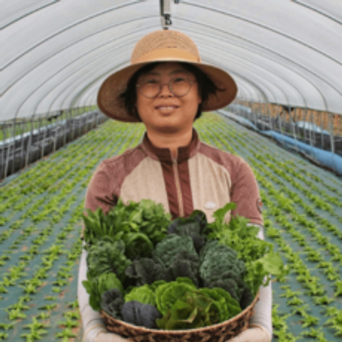 [희망농장] 당일수확 샐러드야채 모듬쌈 쌈채소 1kg (12종 이상)