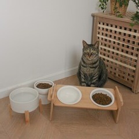 모음 식기 모음 높이조절 고양이 밥그릇 물그릇 뚜또가또, 높이조절대나무2구식기