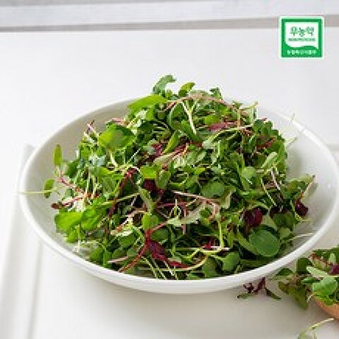 무농약 베이비 채소 500g 어린잎채소, 베이비채소 500g