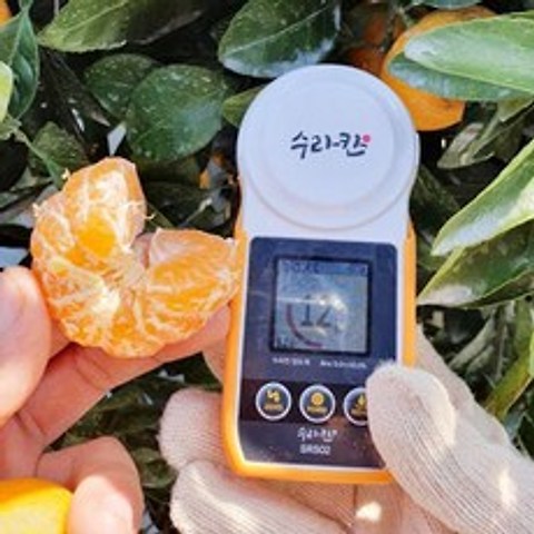 휴대용 디지털 당도계 과일 감귤 딸기 당도 측정기