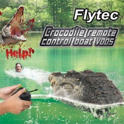 Flytec V005 RC 보트 장난감