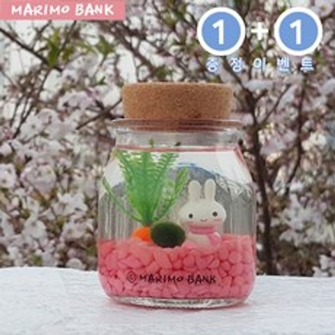 원플러스 [1+1]핑크 마린토끼 DIY세트-마리모소(5mm)포함, 1개