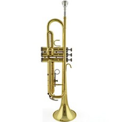 GRSOEZO GRSOEZOMAC JINBAO-XH 트럼펫 금도금바디 성능굿 연주용 악기, C02-silver(실버), T01-normal(일반)