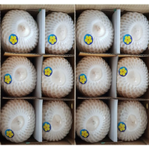 [프리미엄등급] 화이트 영코코넛(coconut) 1box (12개) 나혼자산다 코코넛, 12개