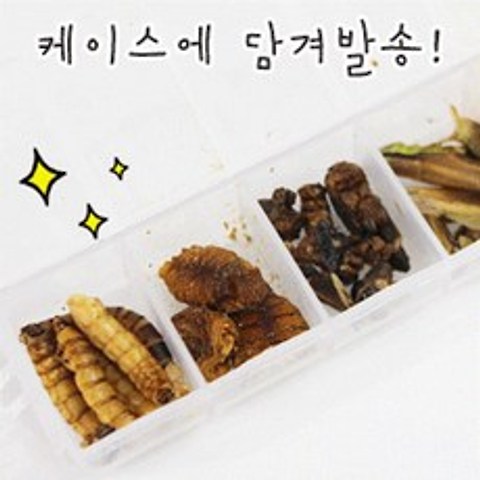 도치퀸 곤충7종. 고슴도치 햄스터 사료/간식/밀웜/영양제, 1개, 20g