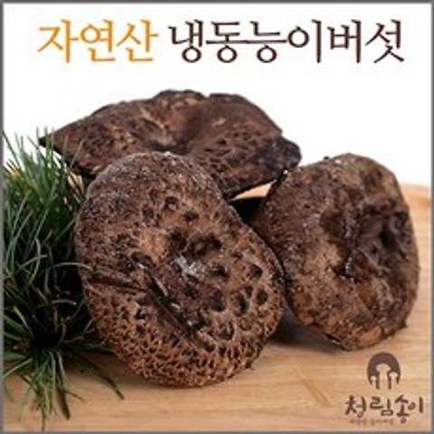 (청림송이 능이) 자연산 능이버섯(특품)냉동 (정품 .정량 .정가), 1개, 냉동능이/A급/1kg