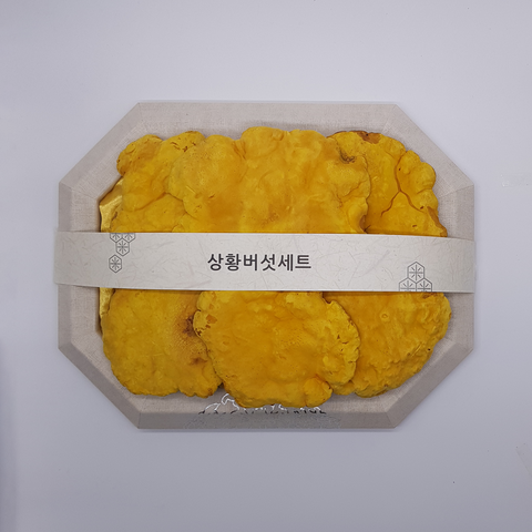 청림농원 유기농 상황버섯 선물세트 250g, 1개