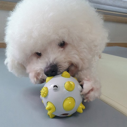 리스펫 강아지 치카치카 플레이볼 노즈워크 장난감, 옐로우, 1개