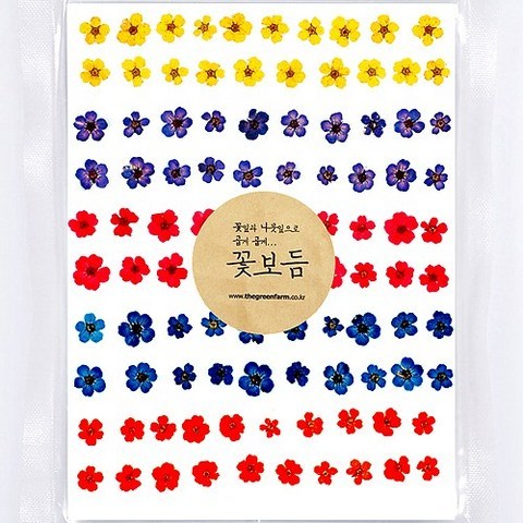 그린팜네이처 꽃보듬 압화-조팝 혼합팩(100송이)