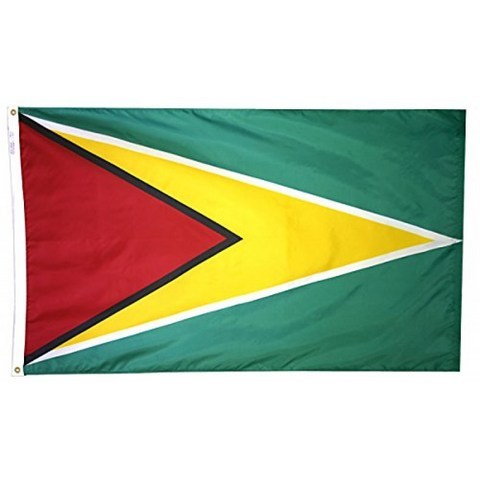 Guyana Flag 3x5 ft. Nylon SolarGuard NYL-Glo 100 % Made in USA Annin Flagmakers의 공식 유엔 디자, 단일옵션