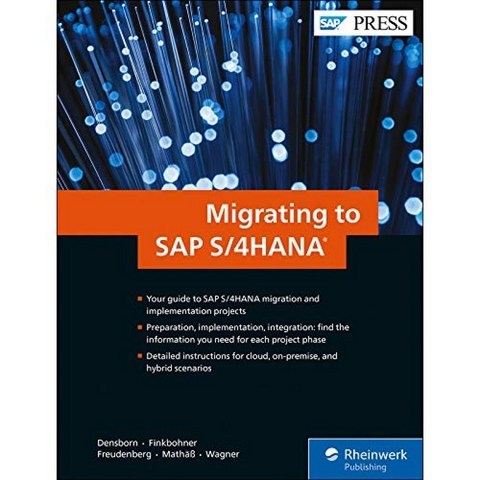 SAP S / 4hana로 마이그레이션, 단일옵션
