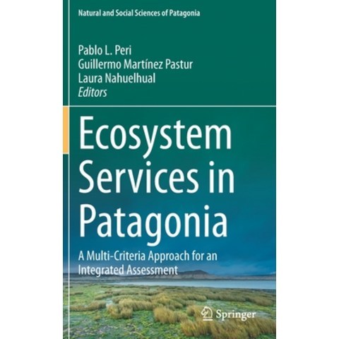 Ecosystem Services in Patagonia: A Multi-Criteria Approach for an Integrated Assessment Hardcover, Springer, English, 9783030691653