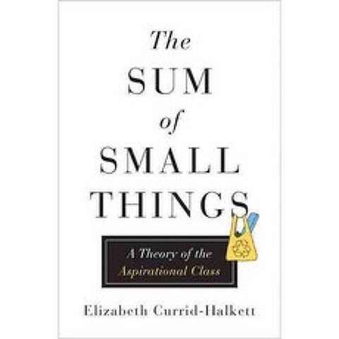 The Sum of Small Things: A Theory of the Aspirational Class, Princeton Univ Pr