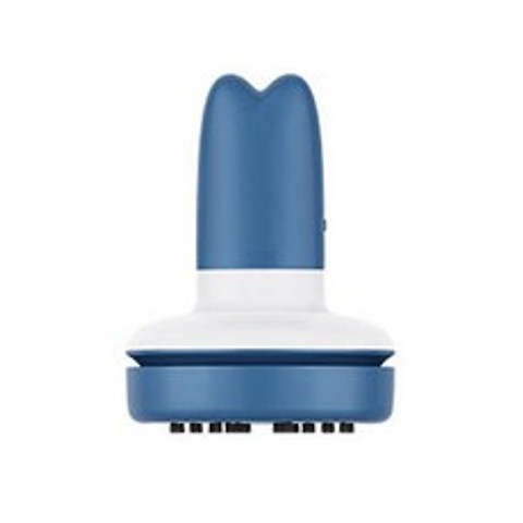 디월스 휴대용 미니 진공청소기 CL-C504, 블루 (C504)
