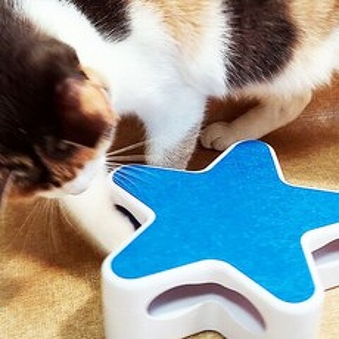 움직이는 자동 고양이 별 장난감 깃털 리필 5p, 블루, 별장난감