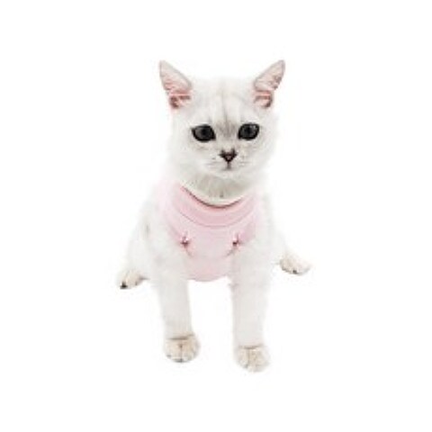 고양이 중성화복 JT6360, 핑크