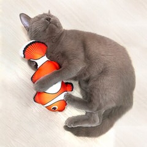 펫케어 춤추는생선 고양이 장난감 크라운피쉬 니모, PG-CT014, 혼합색상