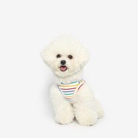 투스투스 강아지 레인보우 민소매 티셔츠, 혼합색상
