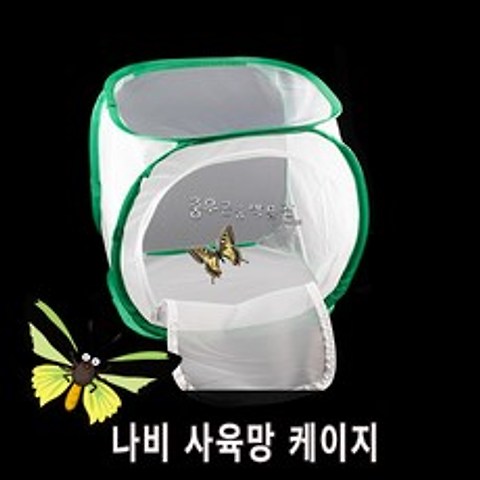 [충우곤충박물관]나비 사육망 (사마귀/잠자리/나비)