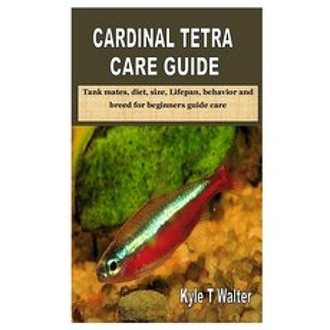 Cardinal Tetra Care Guide: Tank mates diet size Lifepan behavior and breed for beginners guide care Paperback, Independently Published