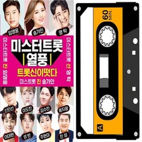 DVD 교육 WD 음반 오스쿨 도서 열풍 미스터트롯 신곡 카세트테이프 40곡, 단품