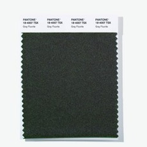 컬러가이드 PANTONE색카드 한개 TSX선택가능 18-2534TSX19-0914TSX, T05-18-4007TSX