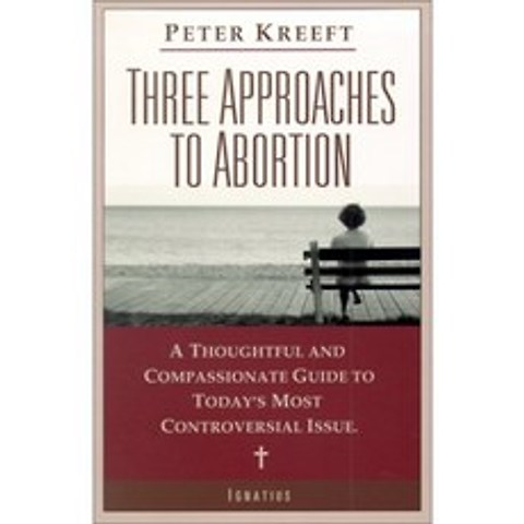 낙태에 대한 세 가지 접근 방식 : 오늘날 가장 논란이 많은 문제에 대한 사려 깊고 동정적인 가이드, 단일옵션
