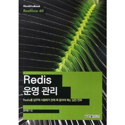 Redis 운영 관리:Redis를 실무에 사용하기 전에 꼭 알아야 하는 실전 전략, 한빛미디어
