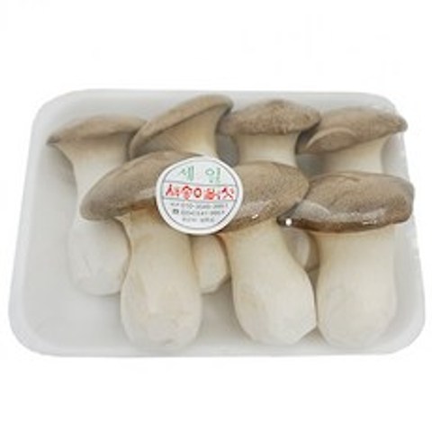 (신선) 새송이버섯 1팩(500g) 국내산 Mushroom