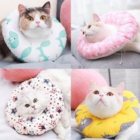 ♪앵콜상품♬♩ 도넛 방석 보호 고양이인형 캐릭터쿠션 M사이즈 애완동물 (♭♩NzC) 용품, Pocketin™ 아쿠아폭스M_Pock™