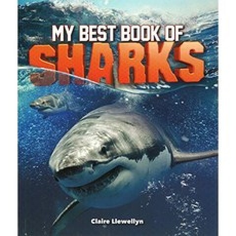 내 최고의 상어 책, 단일옵션