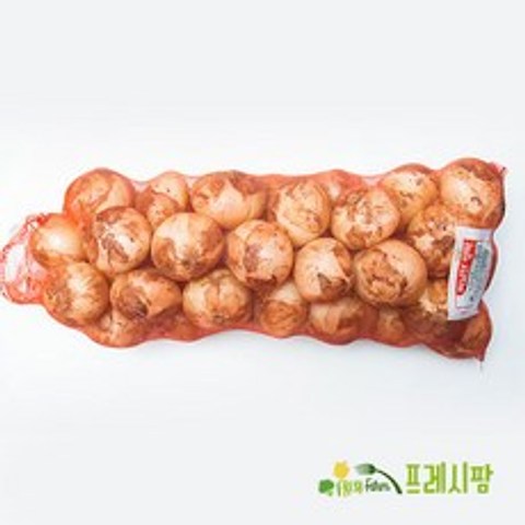 [프레시팜] 기획특가 근채류 국내산 햇양파 원망 5kg 대용량 업소용 식당용