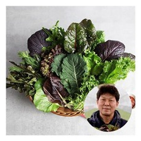 [행복한농부(주)] [행복한농부][산지직송]유기농 모듬 쌈채소 600g, 상세 설명 참조