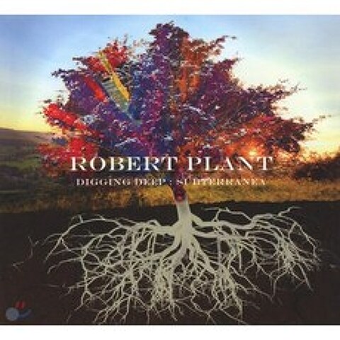 Robert Plant (로버트 플랜트) - Digging Deep: Subterranea : 베스트 앨범, Warner Music, CD