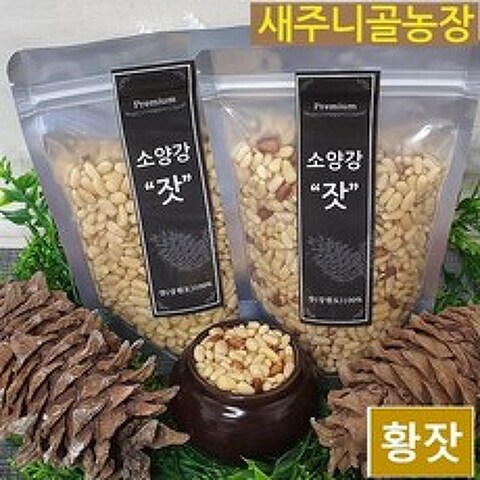 새주니골농장 소양강 햇 잣 200g 황잣, 1개