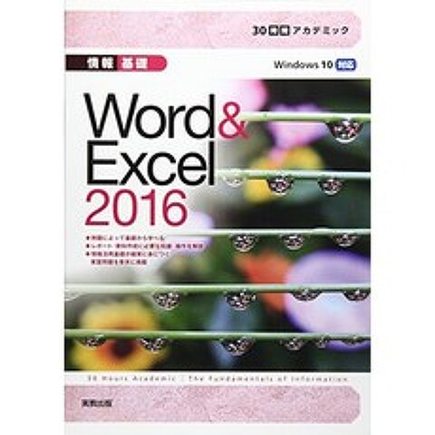 30 시간 학술 정보 기초 Word & Excel2016, 단일옵션