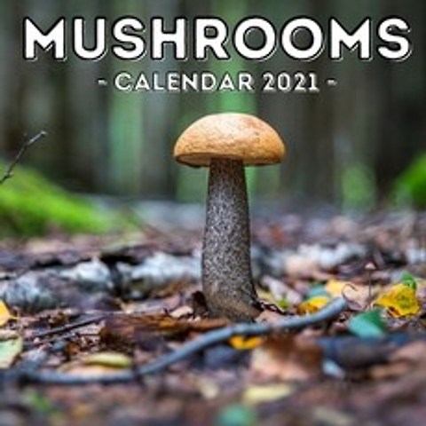 (영문도서) Mushrooms Calendar 2021: 16-Month Calendar Cute Gift Idea For Mushroom Lovers Women & Men Paperback, Independently Published, English, 9798516739163