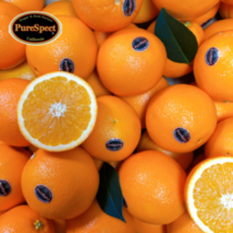 나봉마켓 퓨어스펙 블랙라벨 오렌지, 30과, 9kg(특대과/개당303g내외)
