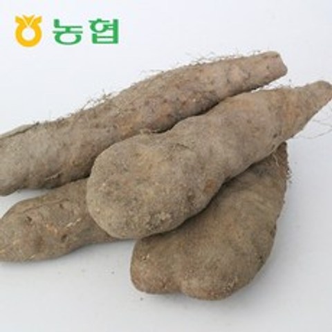 북안동농협 국산 안동 산마 (특)3kg/4.5kg, 산마 (특)3kg
