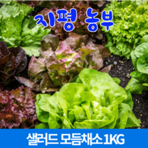 [물맑은 양평] 지평 농부 샐러드 모듬채소(1kg)