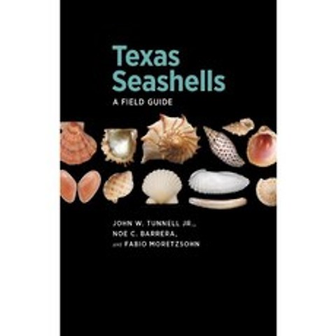 Texas Seashells : 현장 가이드, 단일옵션