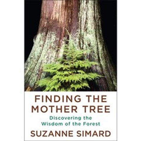 Finding the Mother Tree: Discovering the Wisdom of the Forest (Hardcover)
