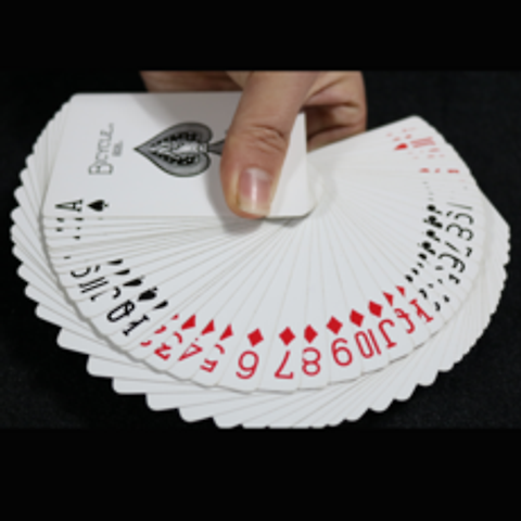 (칙투칙 V3 바이시클카드) 엄청난 반전이 있는 마술카드