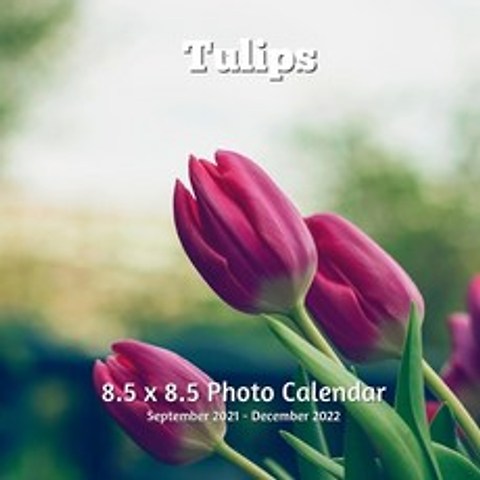 Tulips 8.5 X 8.5 Calendar September 2021 -December 2022: Monthly Calendar with U.S./UK/ Canadian/Chr... Paperback, Amazon Digital Services LLC..., English, 9798735793755