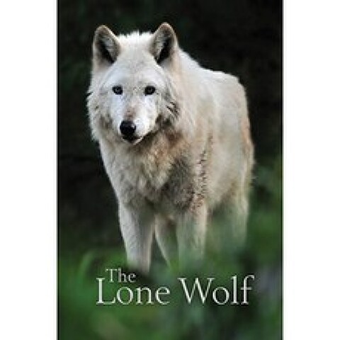 The Lone Wolf : 연락처 및 웹 사이트를위한 위장 된 암호 저널 전화 및 주소록 (가장 된 암호 책), 단일옵션