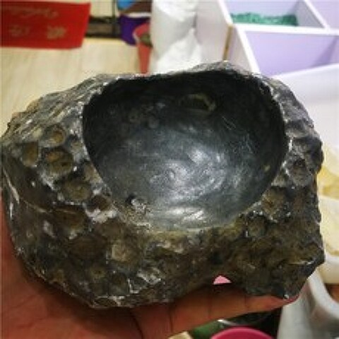 300g 천연 산호 화석 재떨이 작은 수족관 화분 벌집 돌 장식품 크리스탈 reiki 치유 홈 인테리어|돌|, 1개, 단일