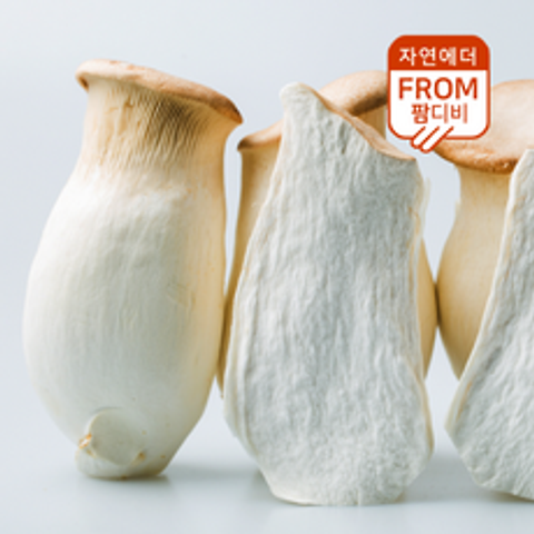 [K쇼핑]전남 함평 새송이버섯 특 2kg