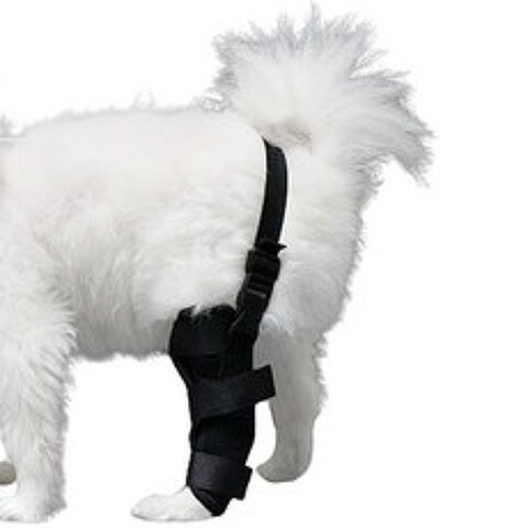 MUMAZIN 강아지 슬개골 보호대 탈구 다리 관절, XS(왼쪽 뒷다리)