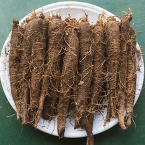 횡성더덕농장 농가직거래 횡성더덕(상)1kg(25~30뿌리), 1개, 상1kg(25~30뿌리)